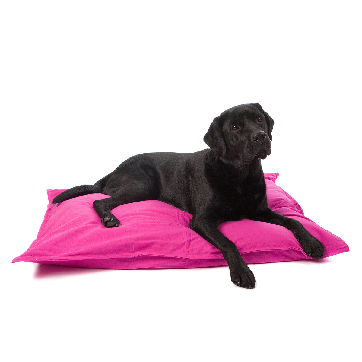 Lex&Max Tivoli - Dog Bed - Orthopedic - Fuchsia - 100 x 70 x 16 cm
