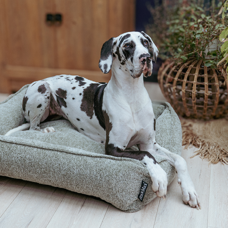 Lex&Max Malibu - Hundebett - Orthopädisch - Grün