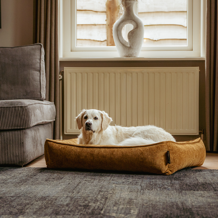 Lex&Max Sydney - Hundebett - Orthopädisch - Honiggelb
