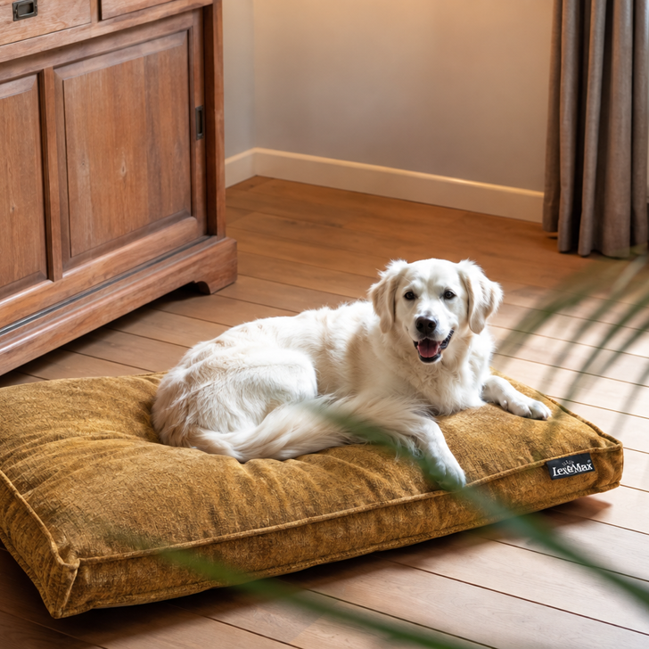 Lex&Max Sydney - Hondenmatras - Orthopedisch - Honinggeel - 75 × 50 × 10 cm