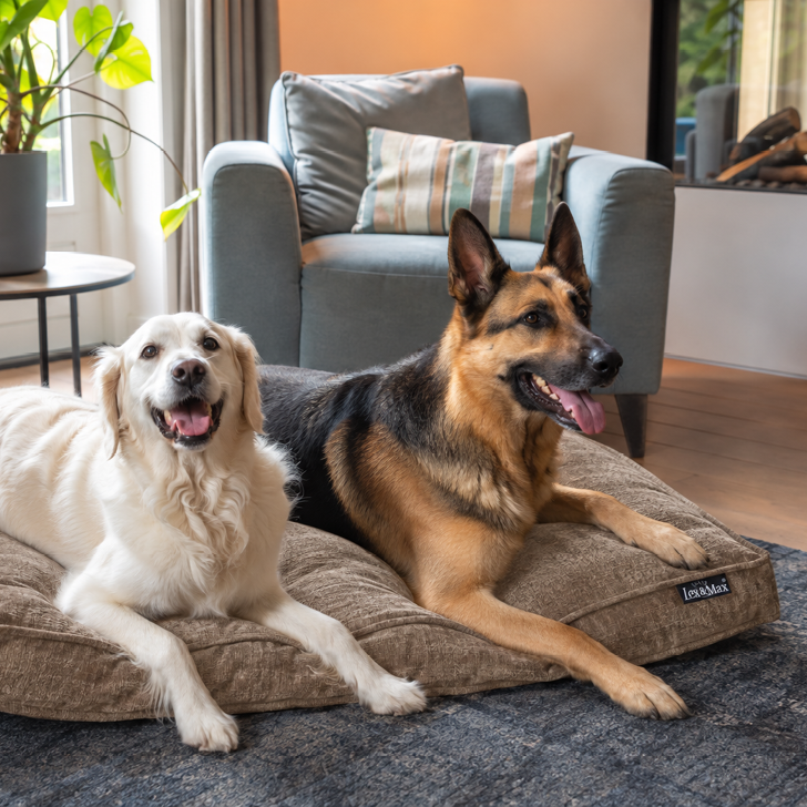 Lex&Max Sydney - Dog Mattress - Orthopedic - Taupe