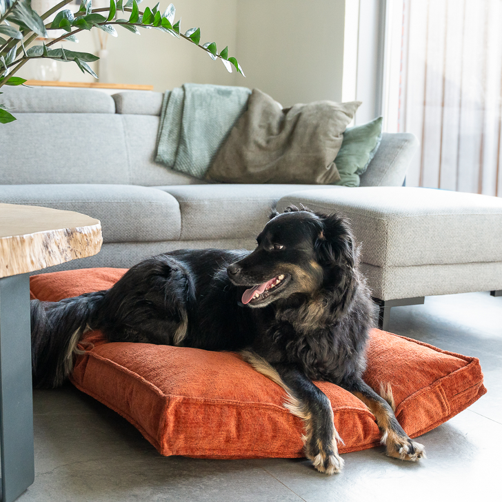 Lex&Max Vienna - Hundematratze - Orthopädisch - Terrakotta