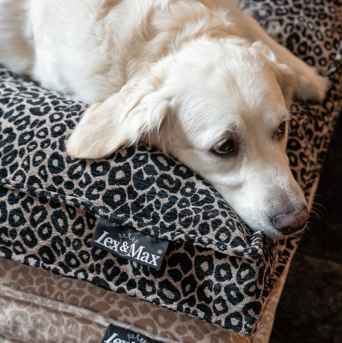 Lex&Max Mumbai - Colchón para perros - Ortopédico - Negro - 120 × 80 × 10 cm