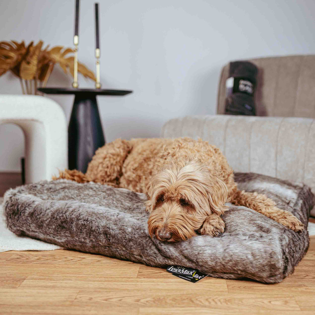 Hoe help je je huisdier Oud en Nieuw rustig door te komen?