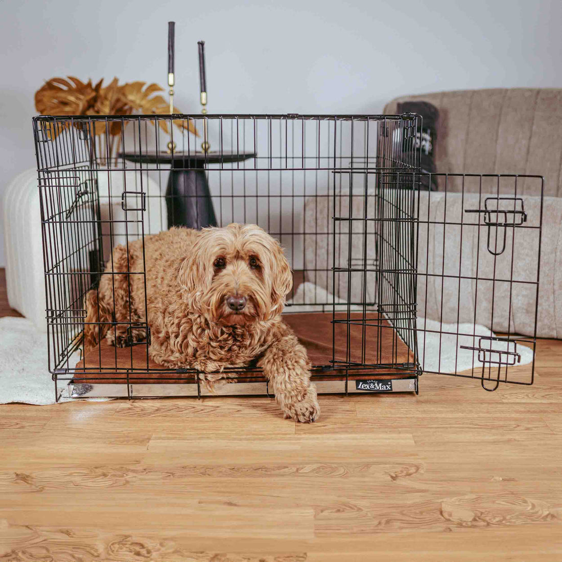 Benchtraining: Een veilige en vertrouwde plek voor je hond