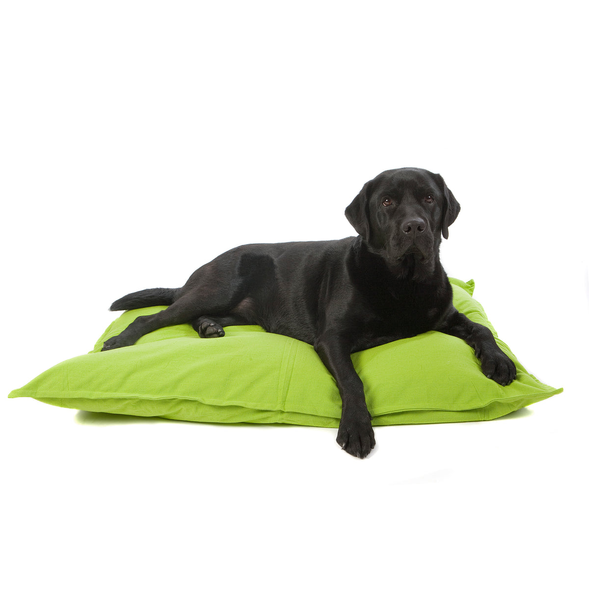 Lex&Max Tivoli - Coussin pour chien - Orthopédique - Citron vert - 100 x 70 x 16 cm