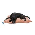 Lex&Max Tivoli - Hundkudde - Ortopedisk - Beige - 100 x 70 x 16 cm