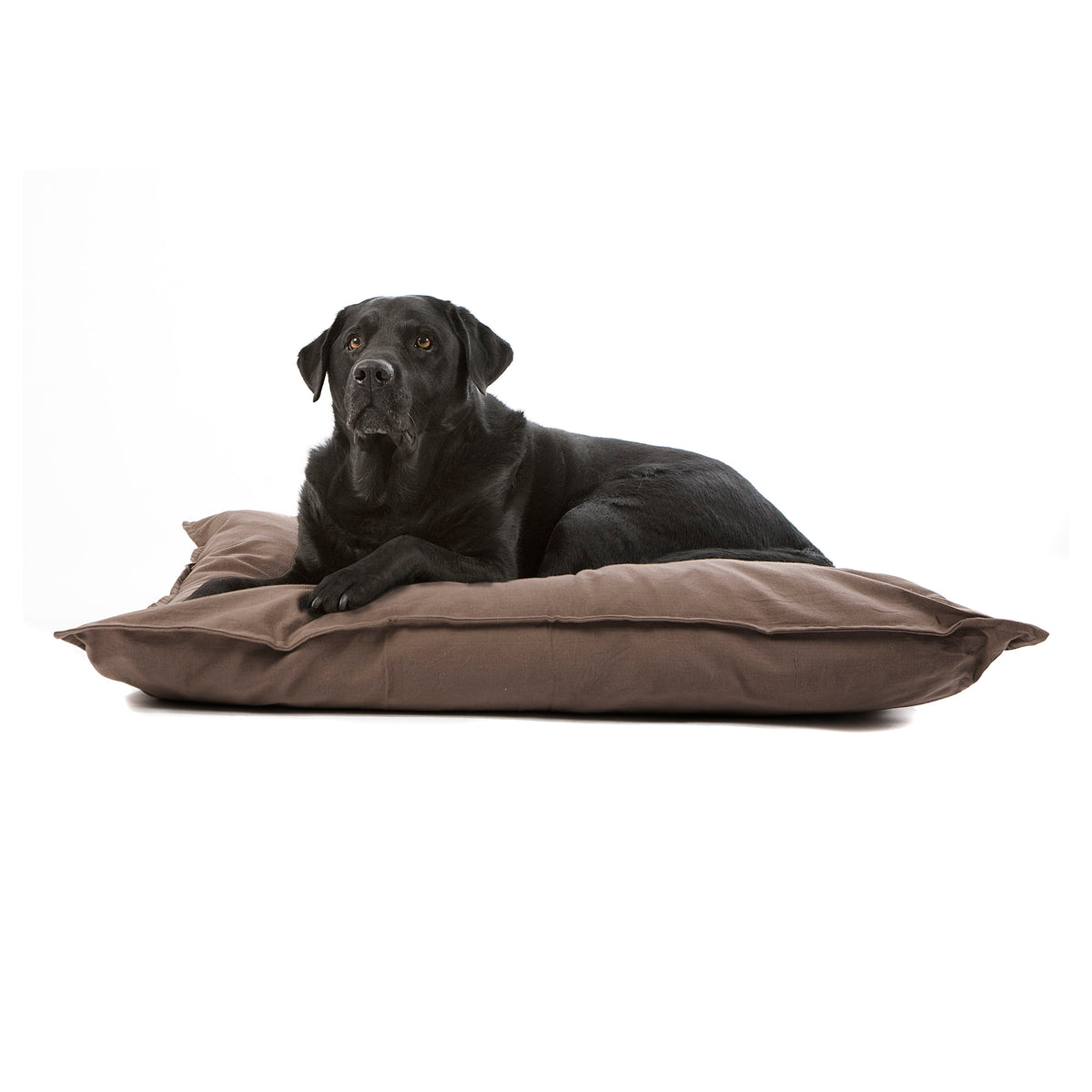 Lex&Max Tivoli - Hundepude - Ortopædisk - Taupe - 120 x 80 x 18 cm