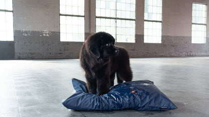 Lex&Max Waterproof - Kussenhoes - Lex&Max