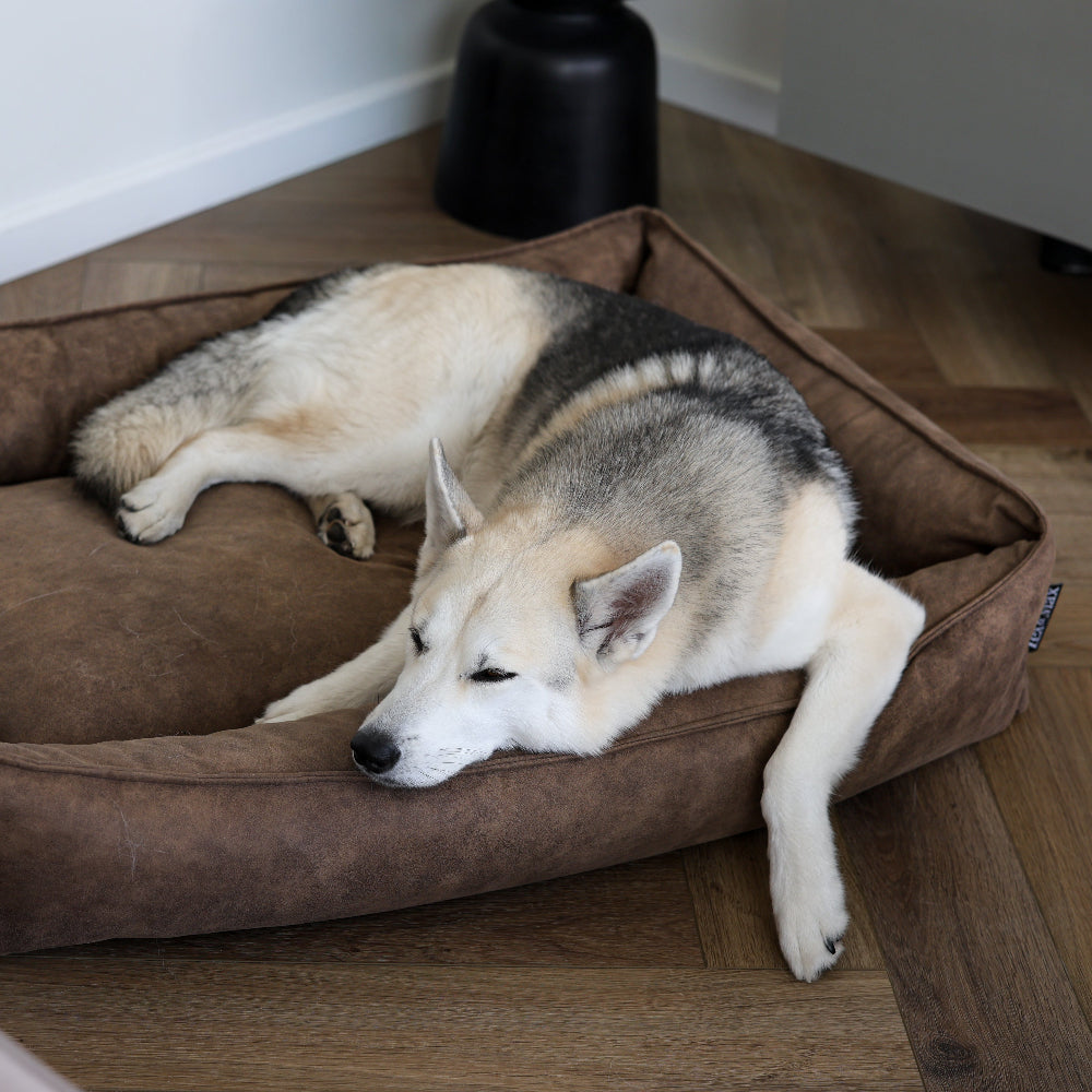 Lex&Max Alaska - Dog Bed - Orthopedic
