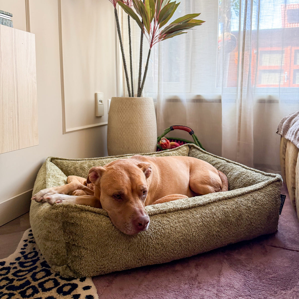 Lex&Max Monaco - Hundebett - Orthopädisch - Grün