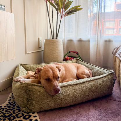 Lex&Max Monaco - Hundebett - Orthopädisch - Grün