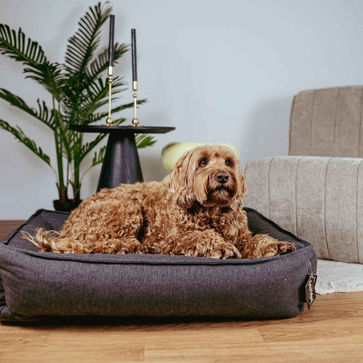 Lex&Max Paris - Dog Bed - Orthopedic