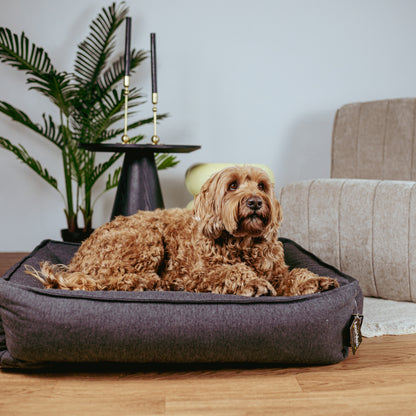 Lex&Max Paris - Dog Bed - Orthopedic