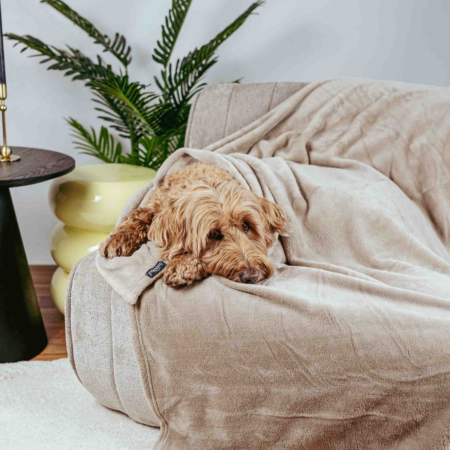 Lex&Max Fleece - Deken - Lex&Max