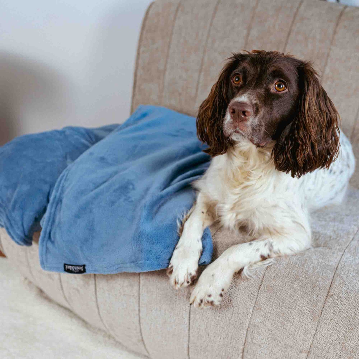 Lex&Max Fleece - Deken - Lex&Max