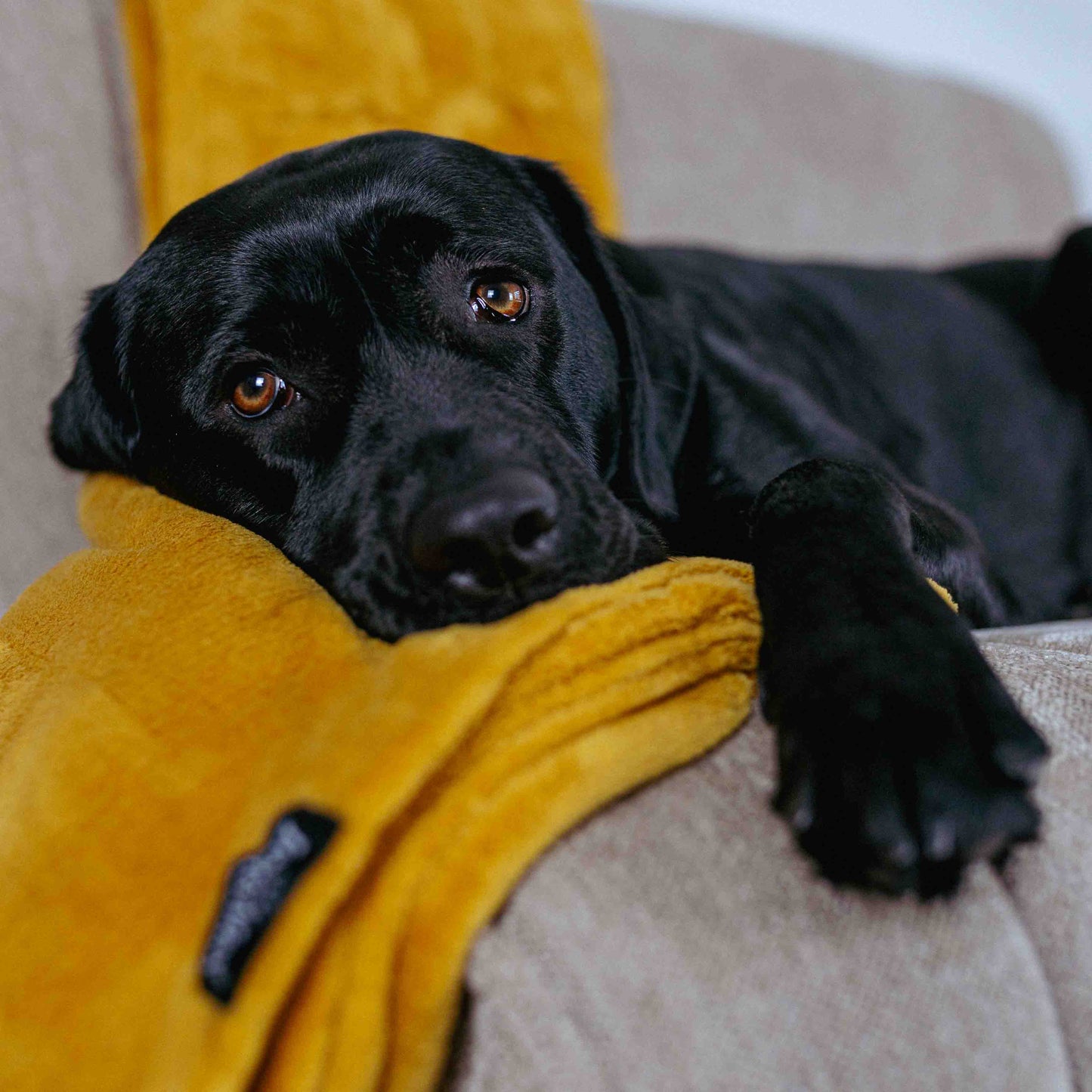 Lex&Max Fleece - Deken - Lex&Max