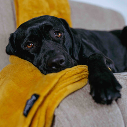 Lex&Max Fleece - Deken - Lex&Max