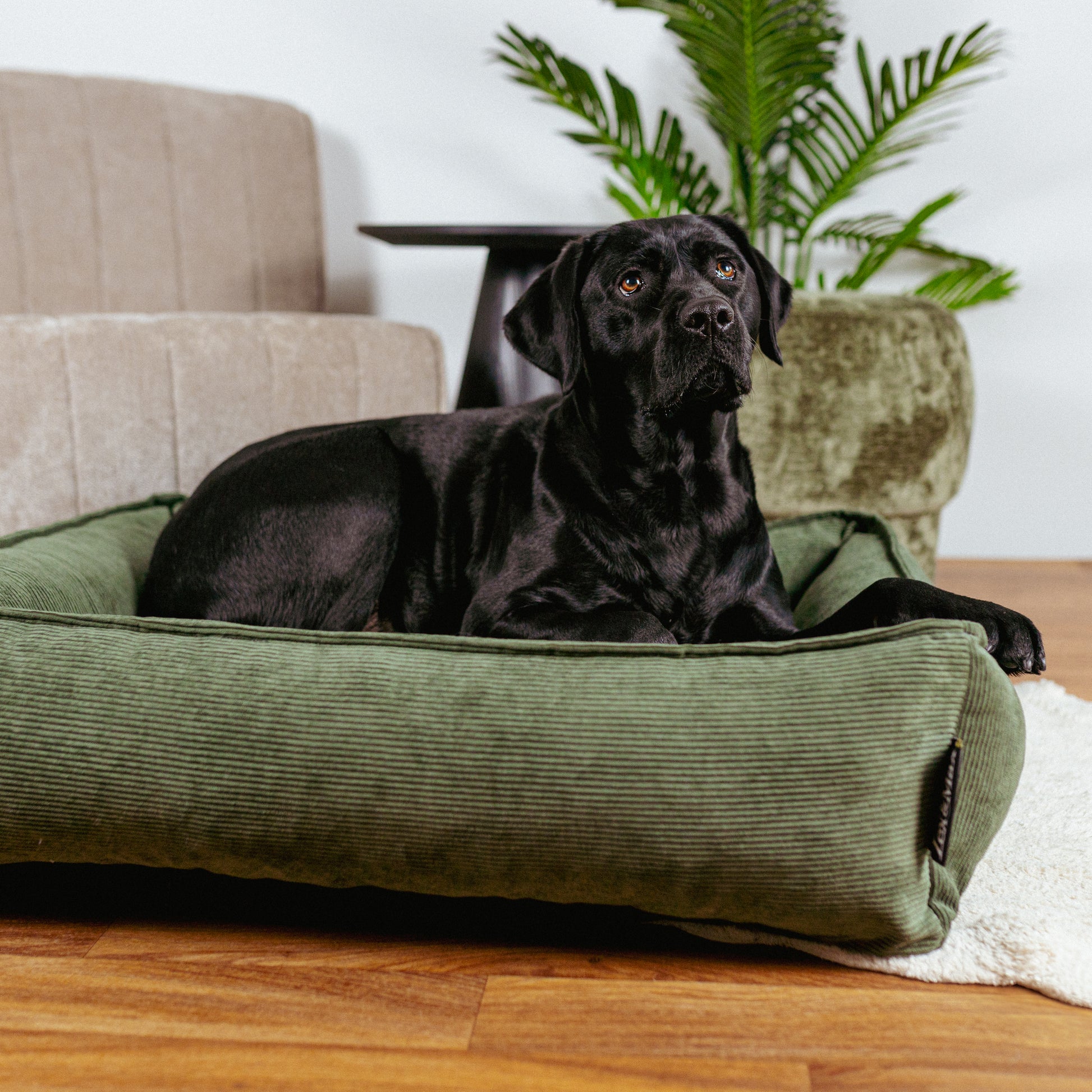 Lex&Max Chicago - Hondenmand - Orthopedisch - Lex&Max