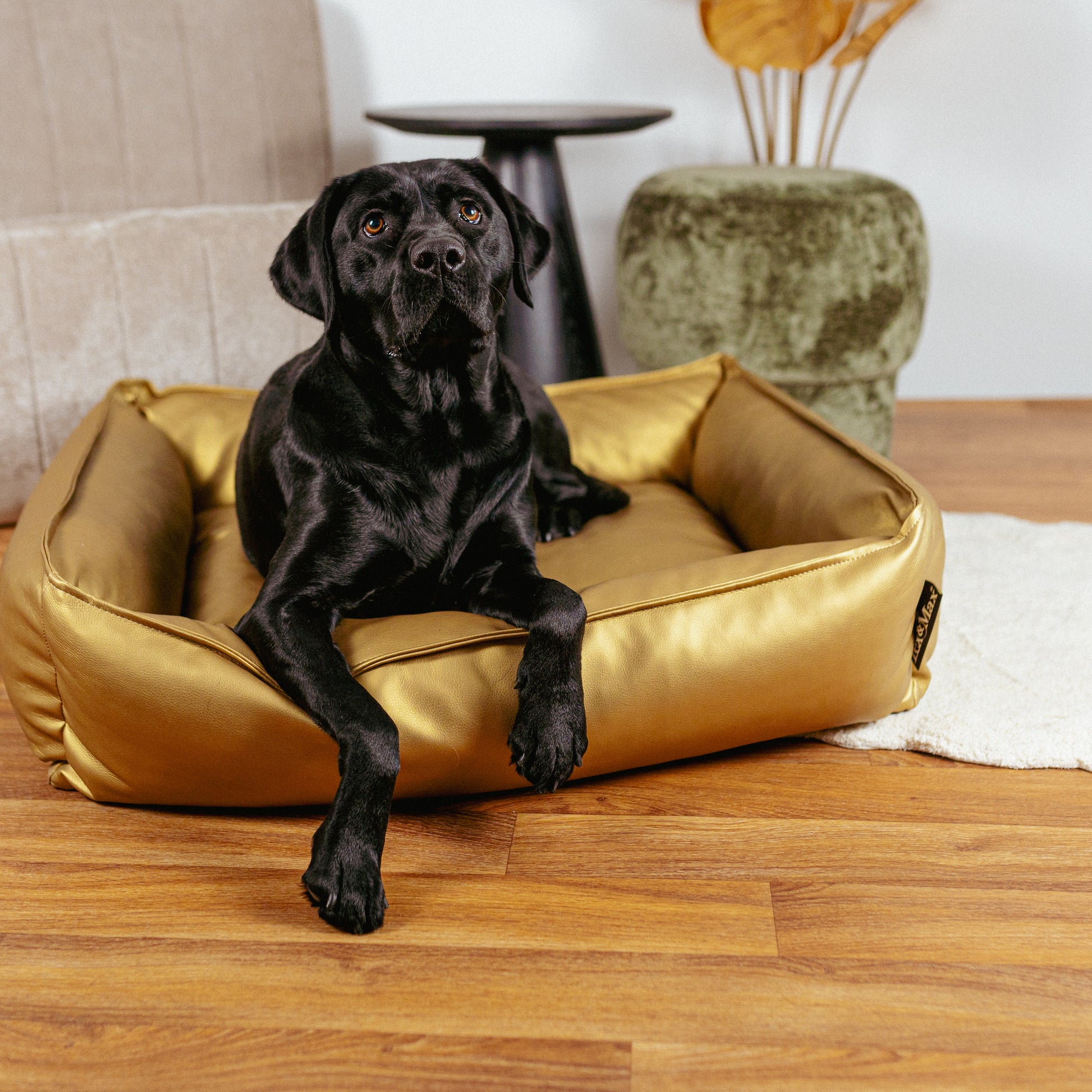 Lex&Max Gold - Hondenmand - Orthopedisch - Lex&Max