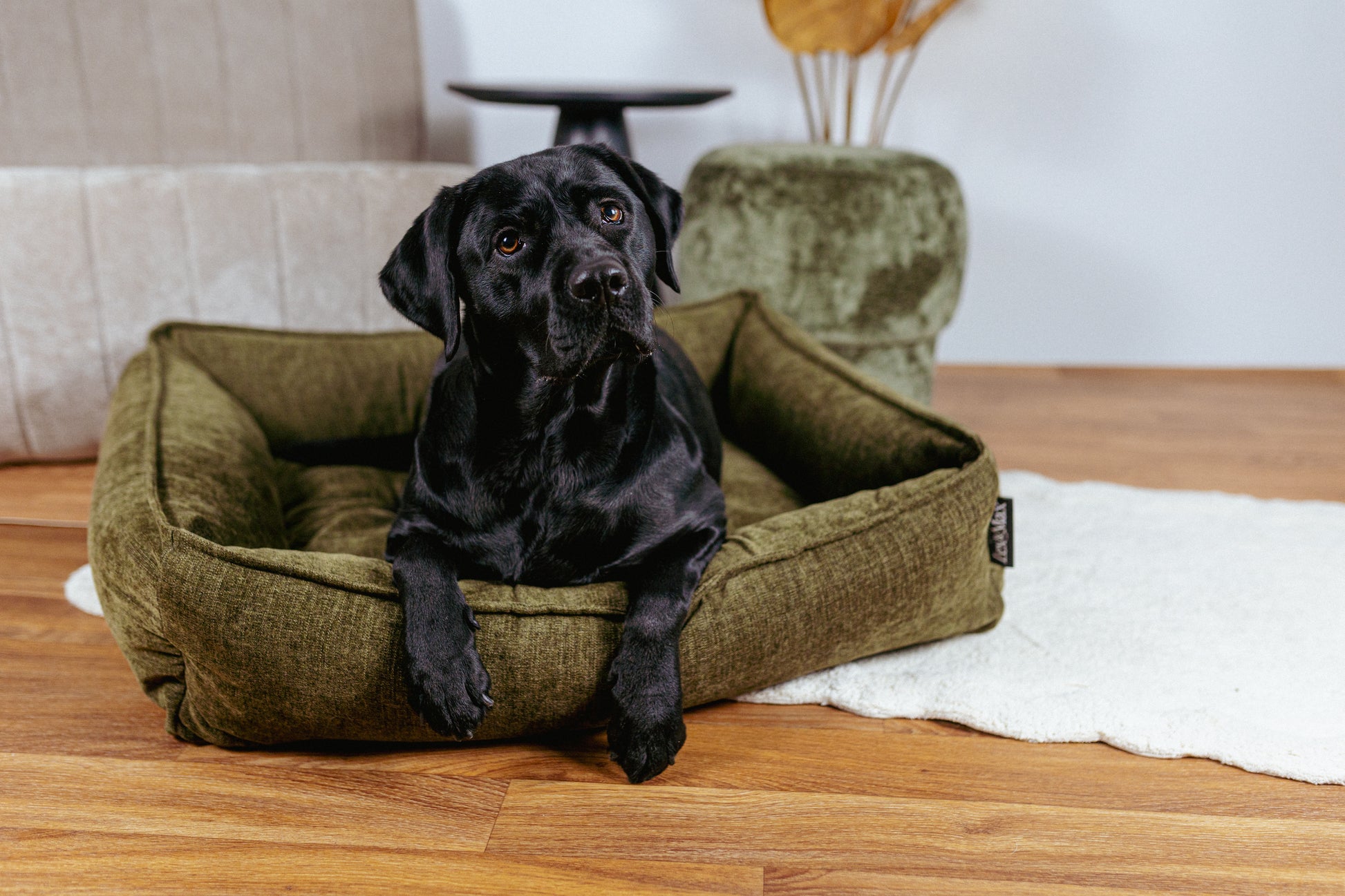 Lex&Max Stockholm - Hondenmand - Orthopedisch - Lex&Max