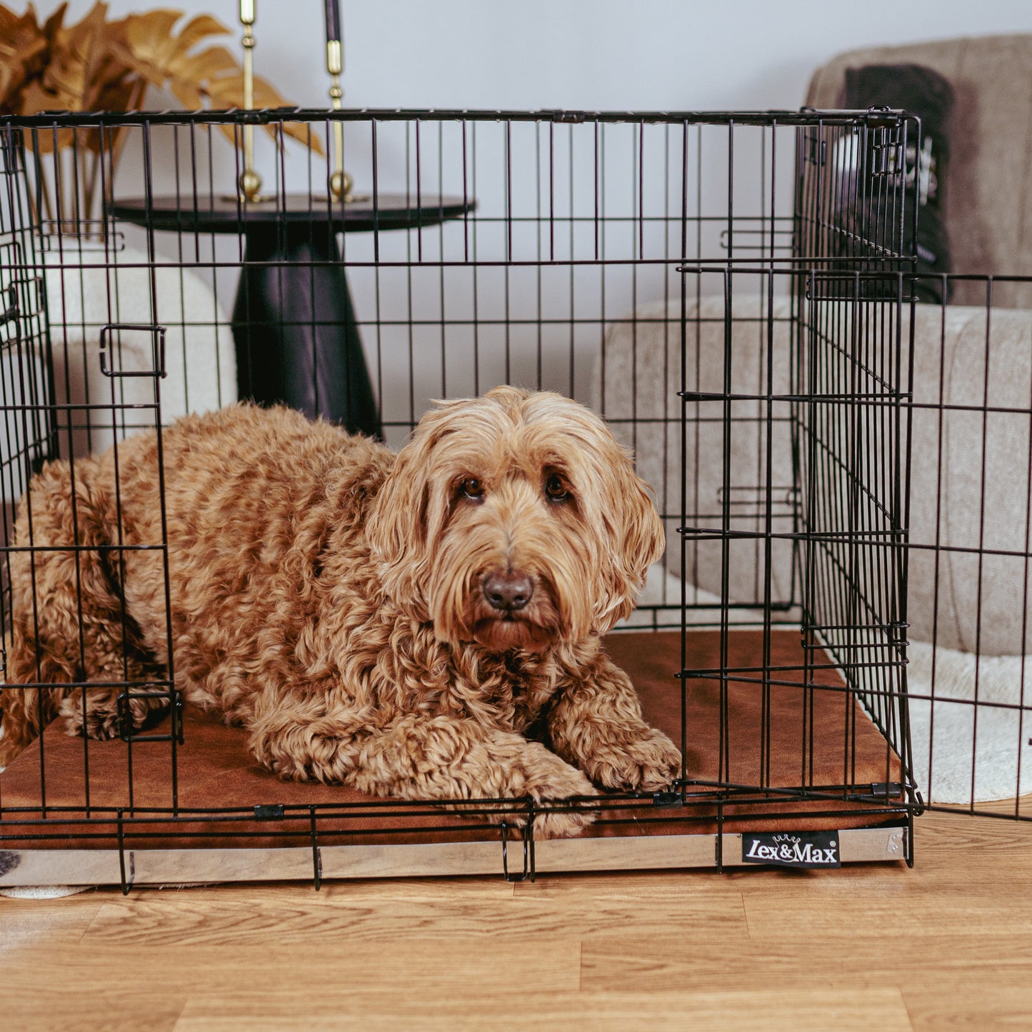 Lex&Max Alaska - Benchmat - Lex&Max