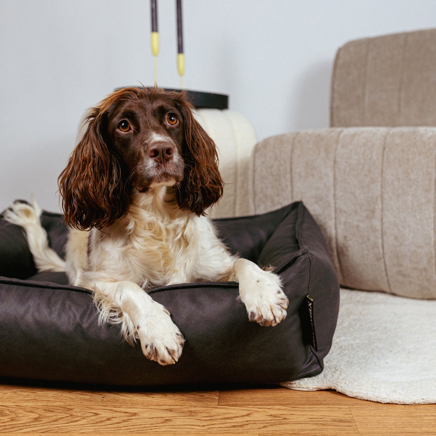 Lex&Max Alaska - Hondenmand - Orthopedisch - Lex&Max