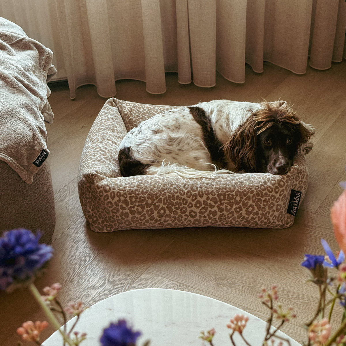 Lex&Max Mumbai - Cama para perros - Ortopédica - Beige - 70 × 55 cm