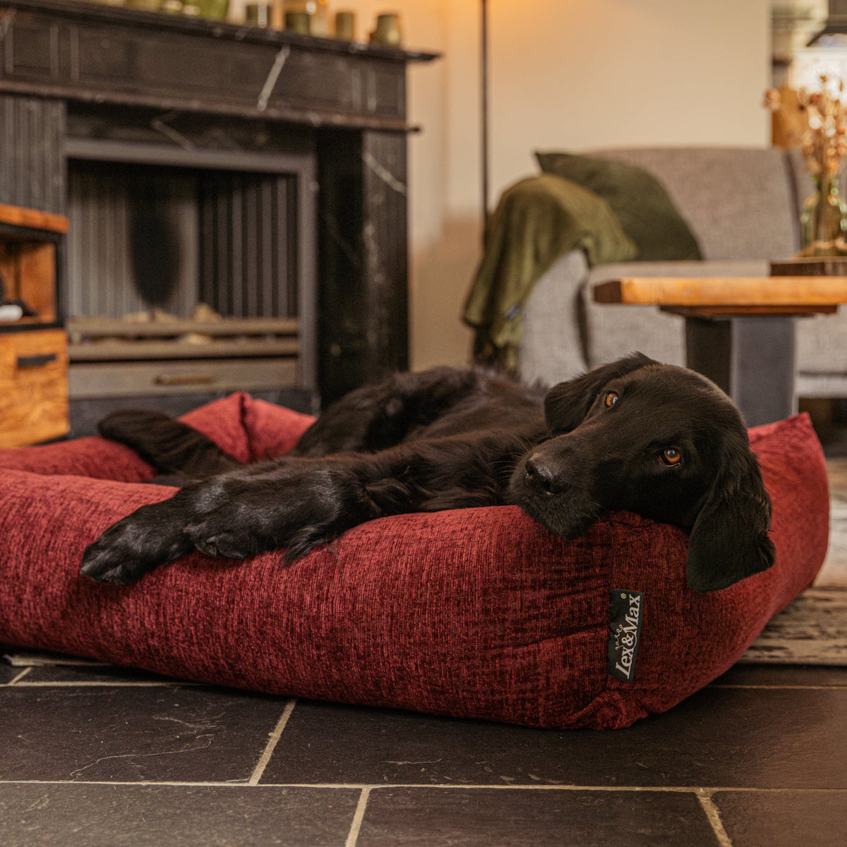 Lex&Max Vienna - Cama para perros - Ortopédica - Burdeos - 100 × 80 cm