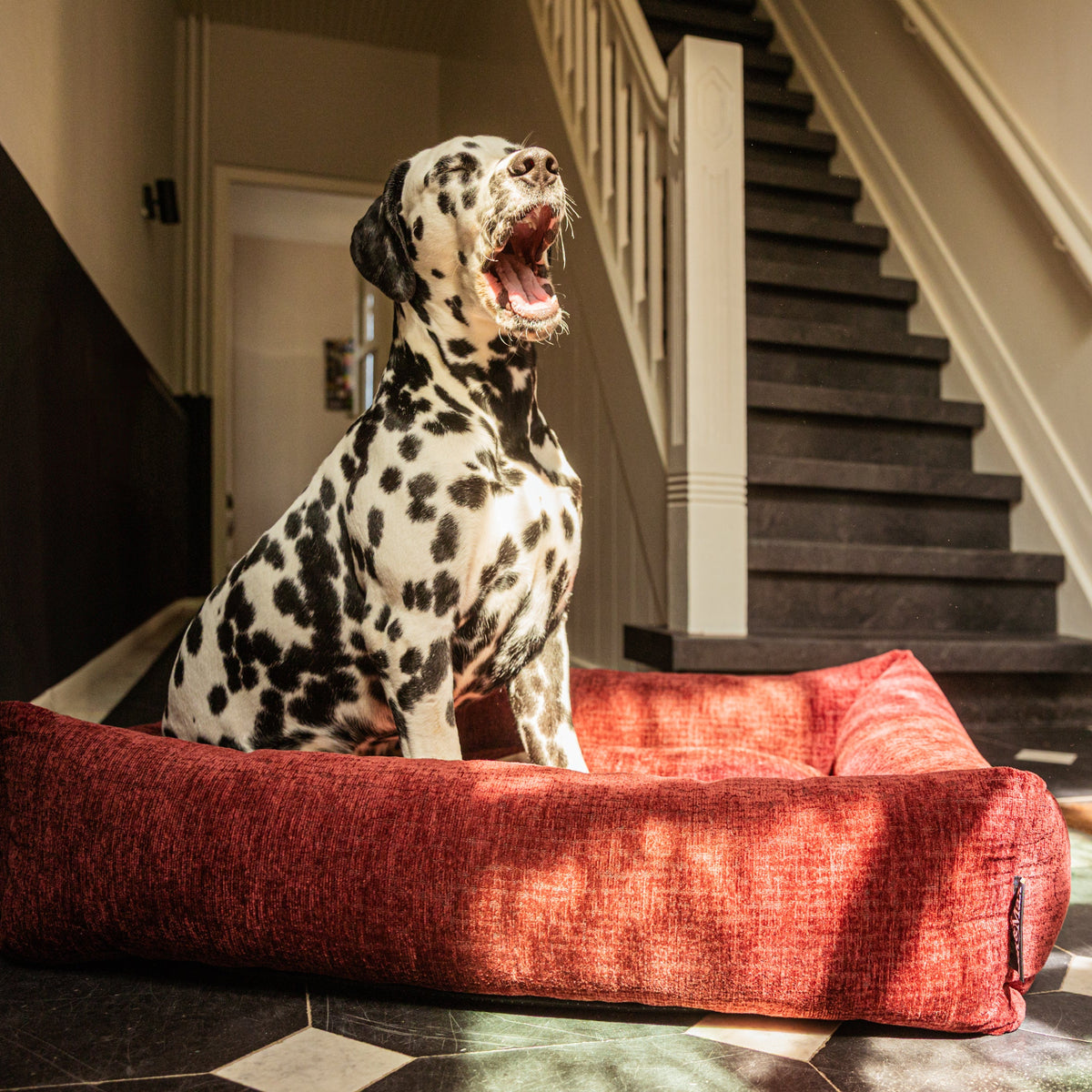 Lex&Max Vienna - Cama para perros - Ortopédica - Burdeos - 100 × 80 cm