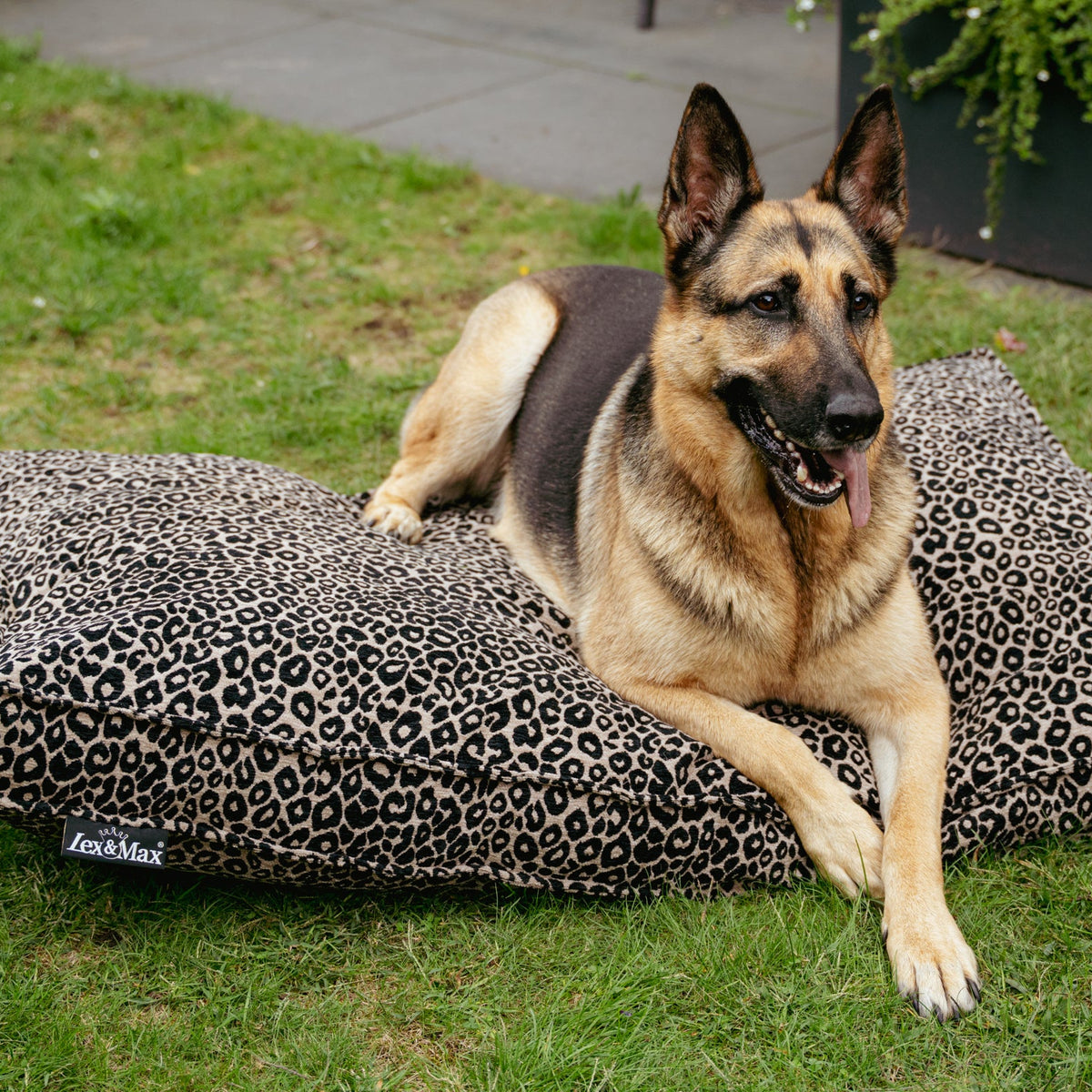 Lex&Max Mumbai - Colchón para perros - Ortopédico - Negro - 120 × 80 × 10 cm