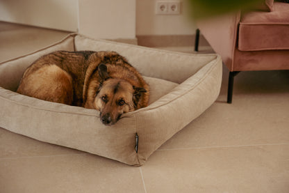 Lex&Max Chicago - Dog Bed - Orthopedic