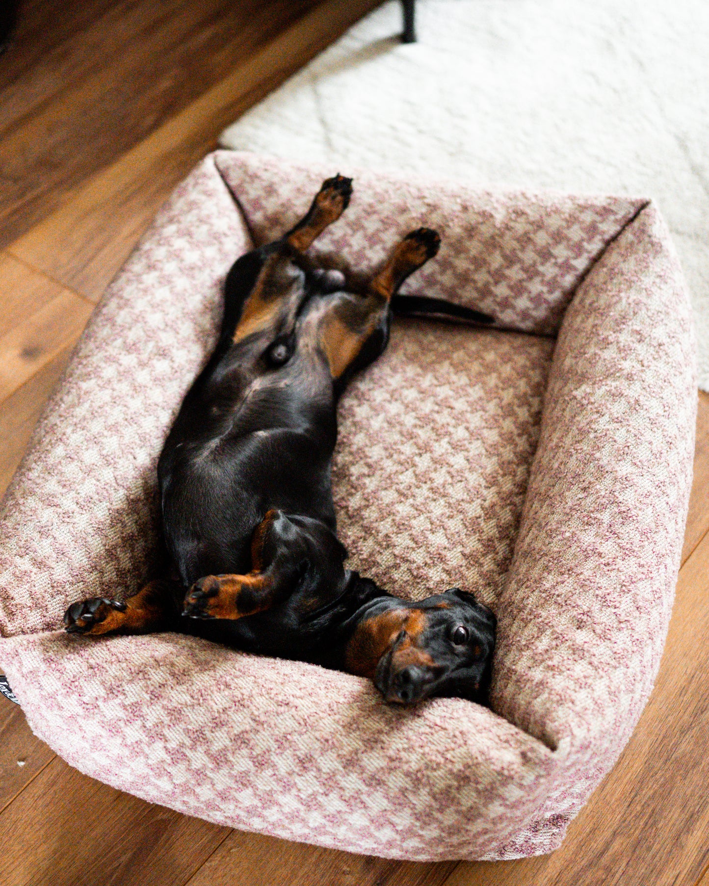 Lex&Max Hollywood - Dog Bed - Orthopedic