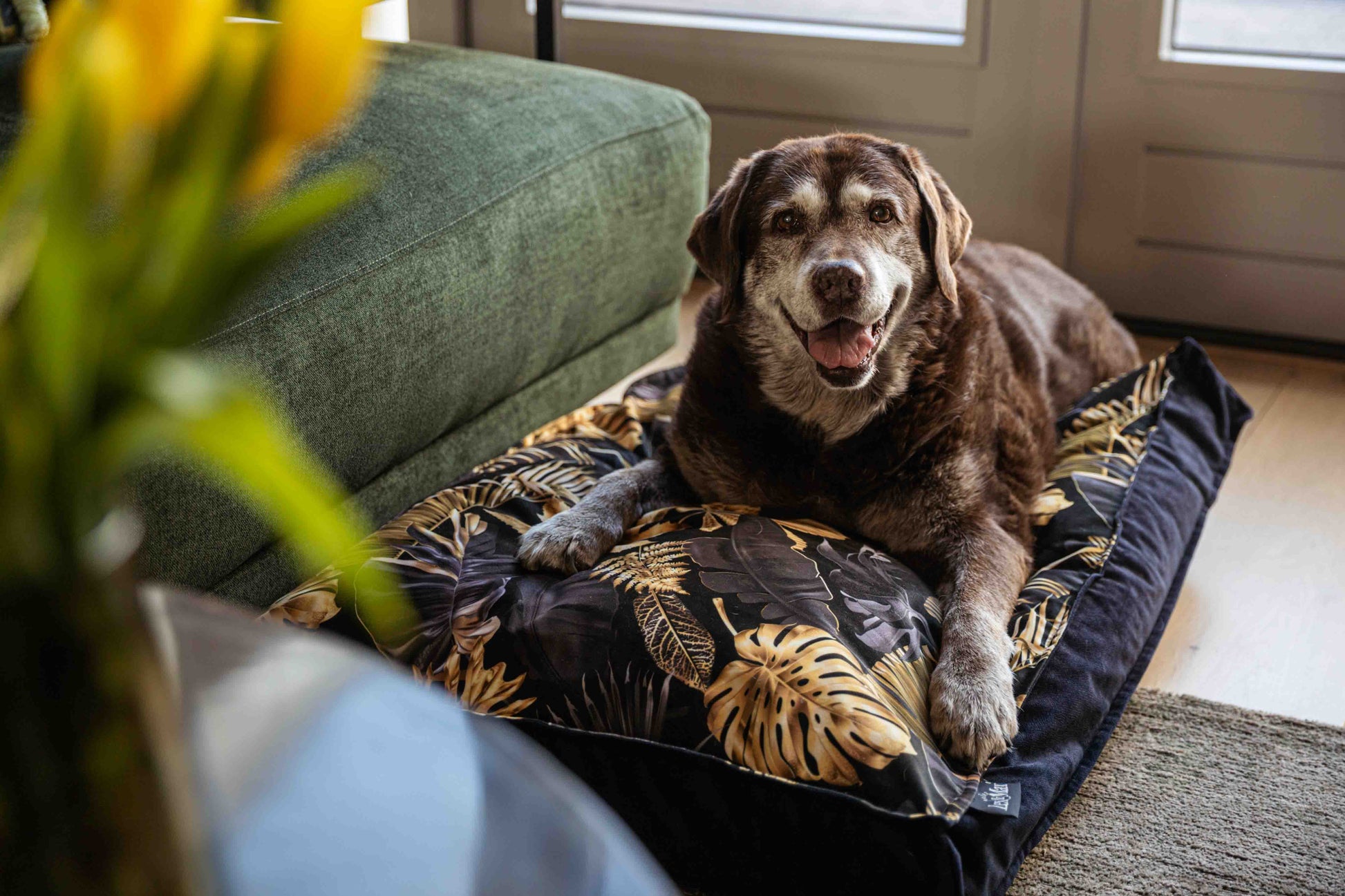 Lex&Max Dubai - Hondenmatras - Orthopedisch - Lex&Max