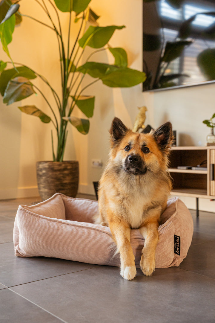 Lex&Max Chicago - Hondenmand - Orthopedisch - Lex&Max