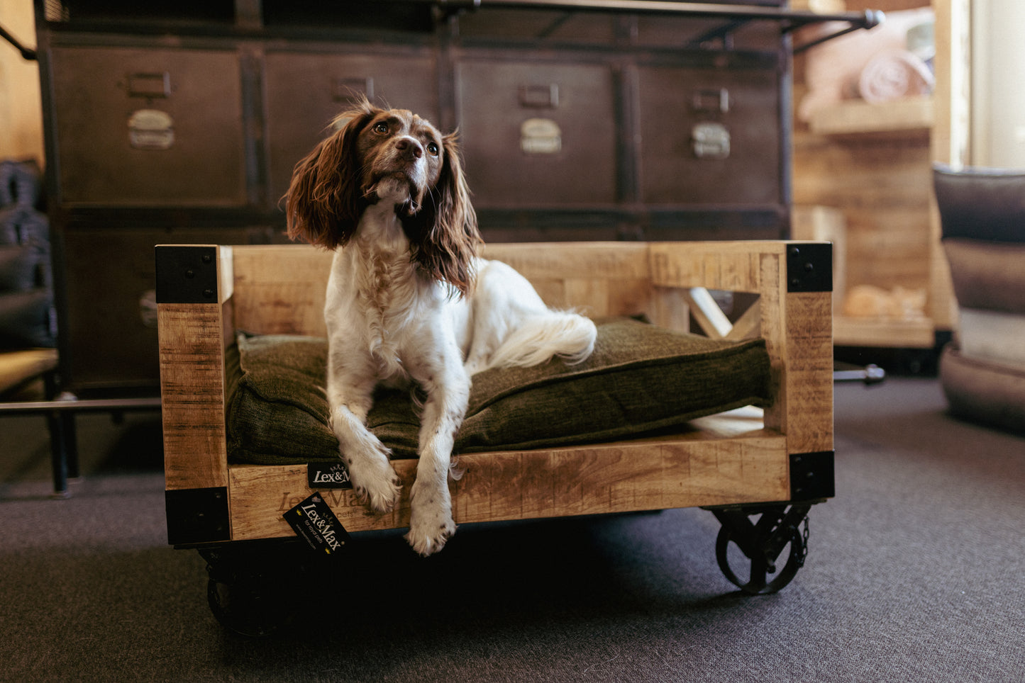 Lex&Max Bari - Hondendivan - Hout - Lex&Max