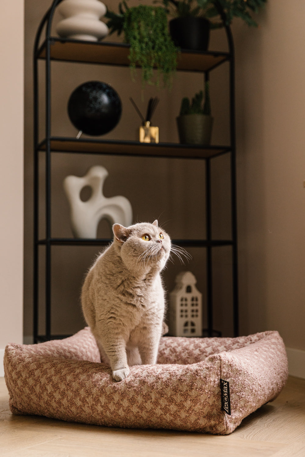 Lex&Max Hollywood - Hondenmand - Orthopedisch - Lex&Max