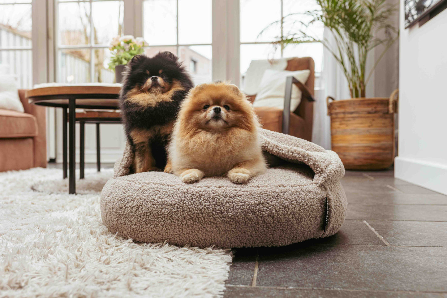 Lex&Max Hoodie - Hondenmand - Orthopedisch - Lex&Max