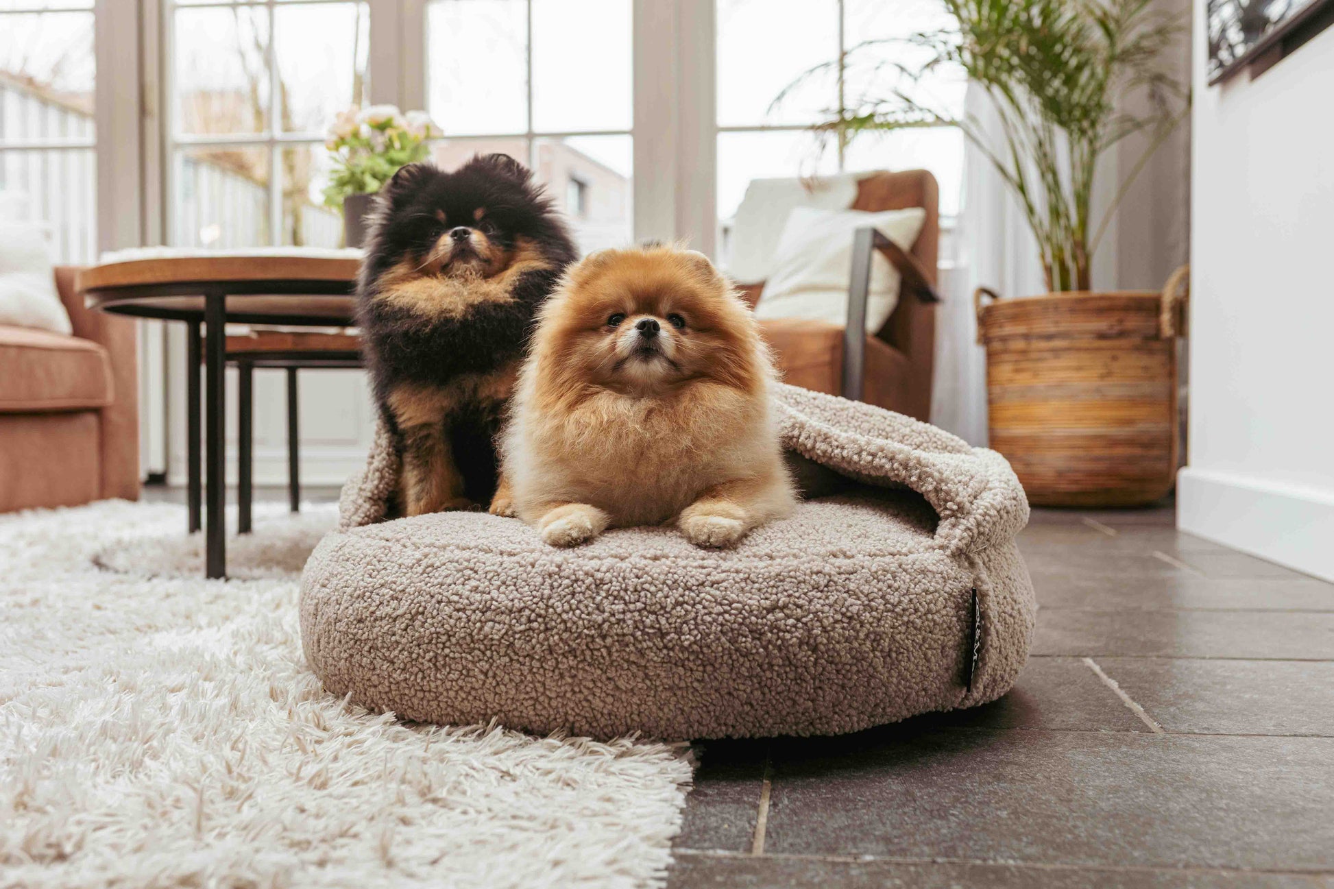 Lex&Max Hoodie - Hondenmand - Orthopedisch - Lex&Max