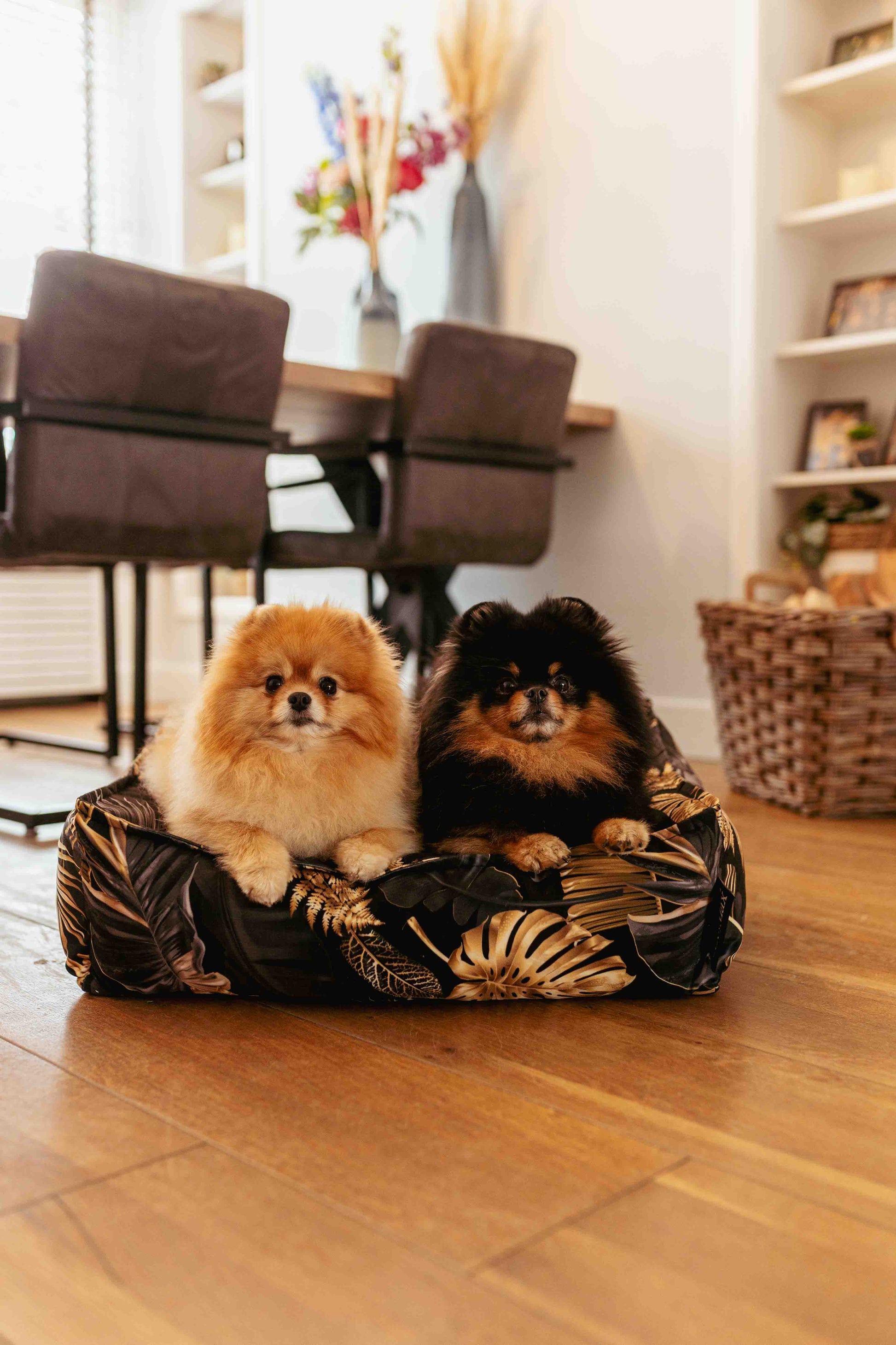 Lex&Max Dubai - Hondenmand - Orthopedisch - Lex&Max