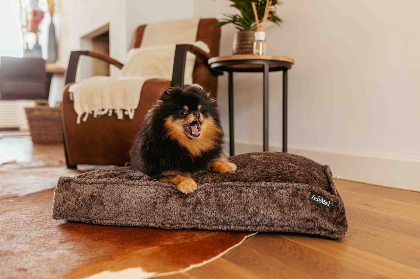 Lex&Max Monaco - Hondenmatras - Orthopedisch - Lex&Max