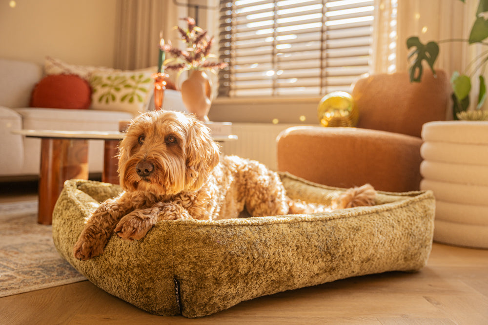 Lex&Max Monaco - Hondenmand - Orthopedisch - Lex&Max