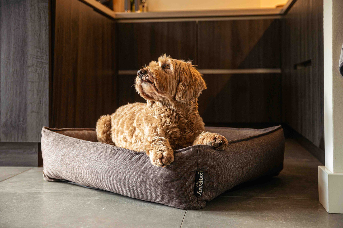 Lex&Max Paris - Hondenmand - Orthopedisch - Lex&Max