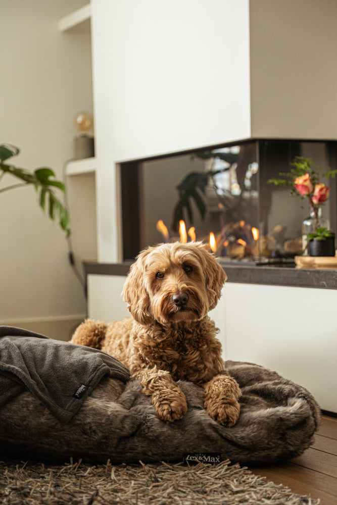 Lex&Max Royal Fur - Hondenmatras - Orthopedisch - Lex&Max