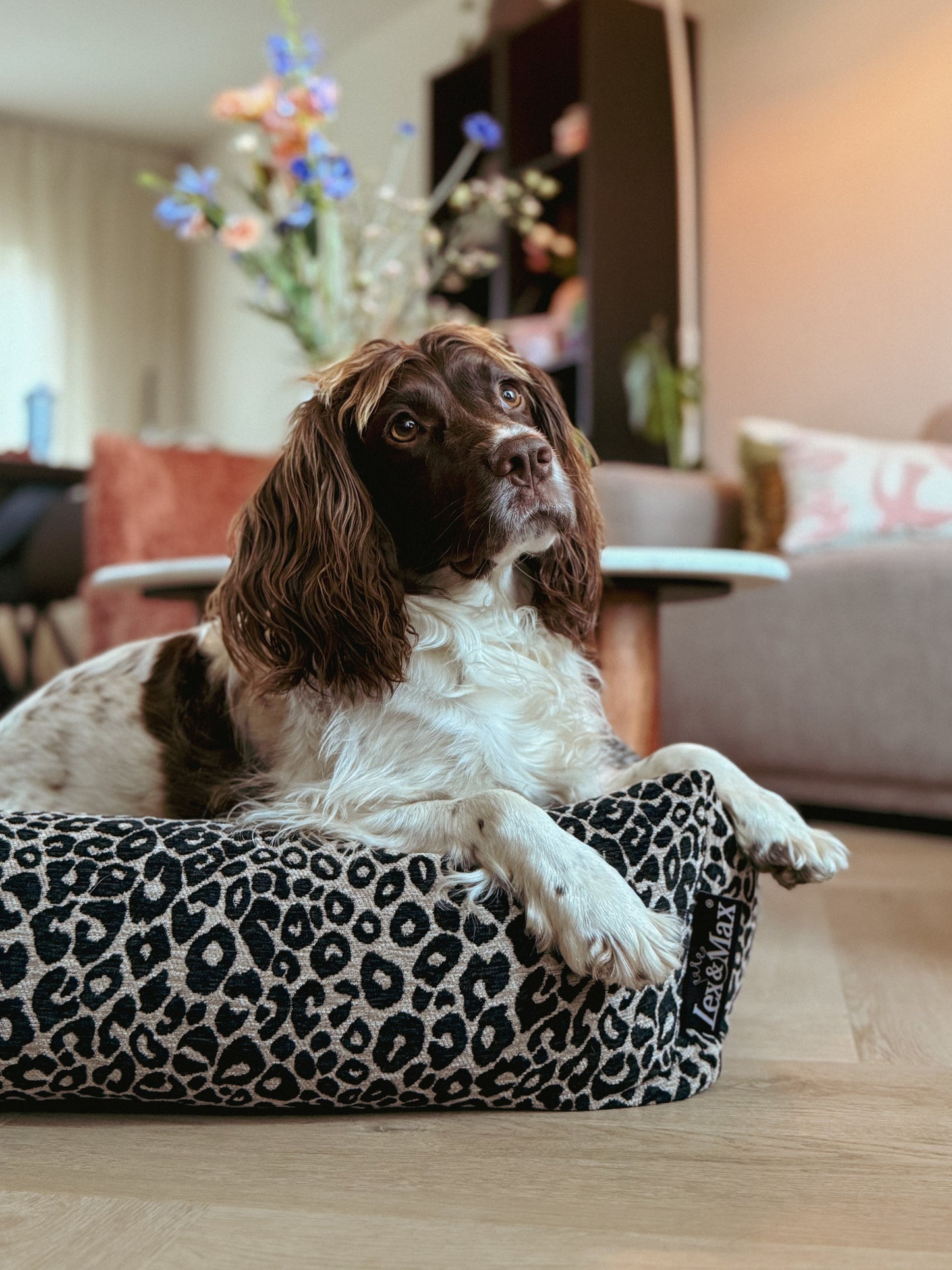 Lex&Max Mumbai - Hondenmand - Orthopedisch