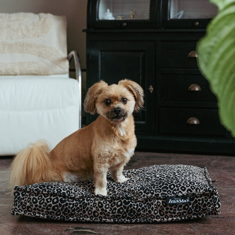 Lex&Max Mumbai - Hundemadras - Ortopædisk - Sort - 75 × 50 × 10 cm