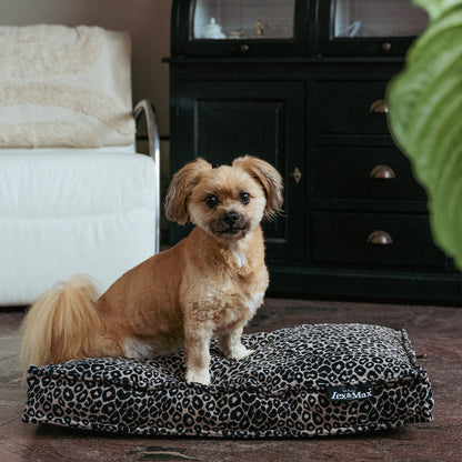 Lex&Max Mumbai - Hundemadras - Ortopædisk - Sort - 75 × 50 × 10 cm