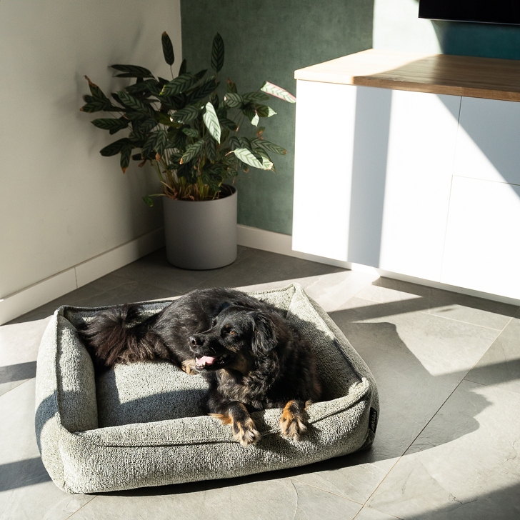 Lex&Max Malibu - Hundebett - Orthopädisch - Grün