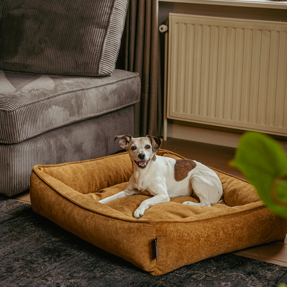 Lex&Max Sydney - Hundebett - Orthopädisch - Honiggelb
