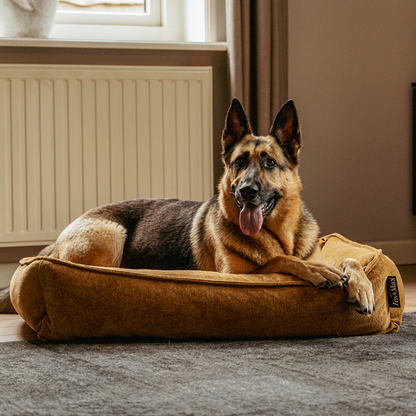 Lex&Max Sydney - Hundebett - Orthopädisch - Honiggelb